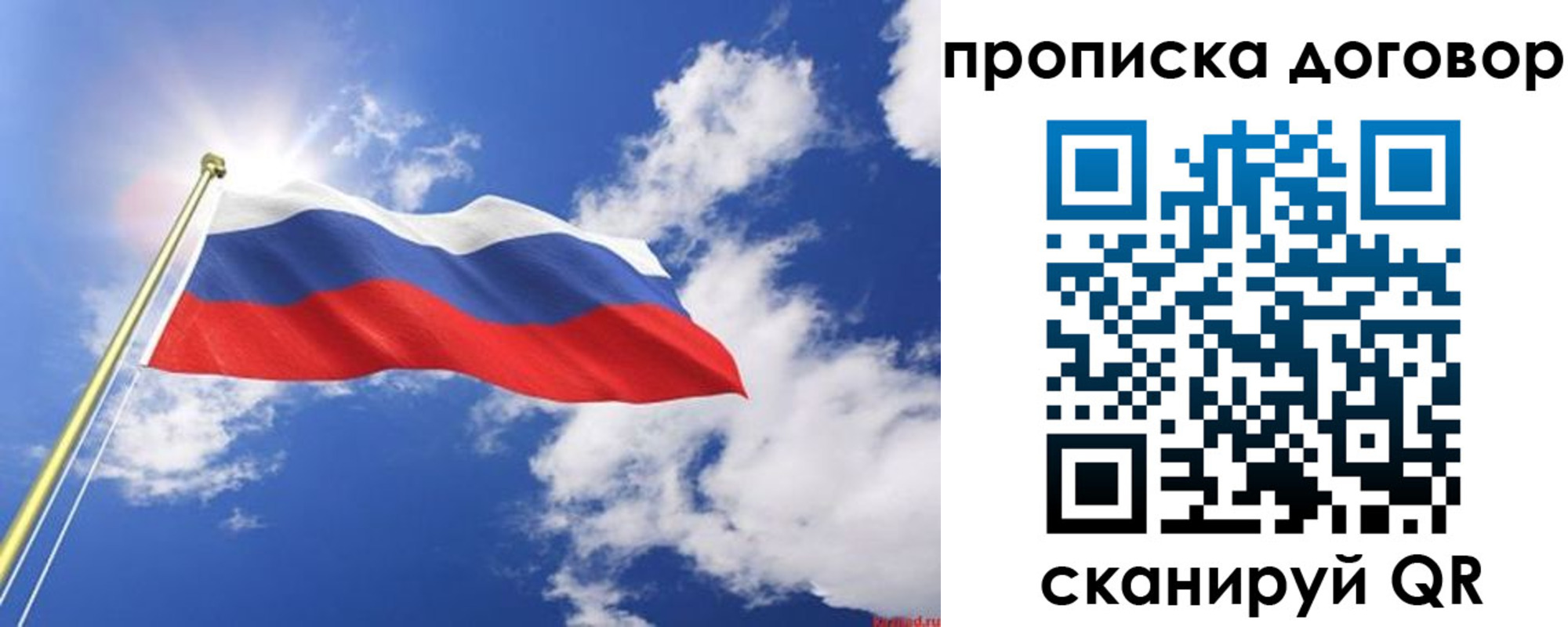 прописка гарантия в Рязани
